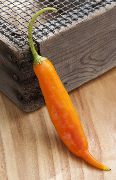 Aji Amarillo Chile Rojo Heirloom Pepper Premium Seed Packet
