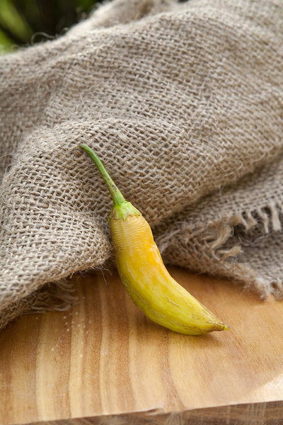 White Wax Heirloom Pepper Premium Seed Packet