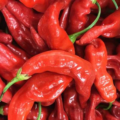 Aji Strawberry Drop Limon Kellu Uchu Chile Heirloom Pepper Premium Seed Packet + More