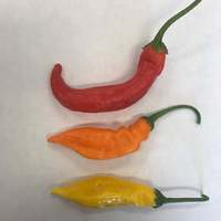 Aji Strawberry Drop Limon Kellu Uchu Chile Heirloom Pepper Premium Seed Packet + More - Thumbnail 1