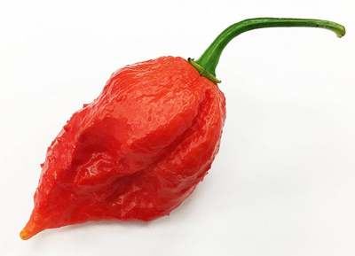 Jigsaw Pepper Premium Seed Packet