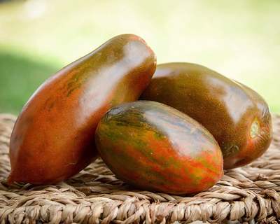 Black Icicle Plum Heirloom Sauce Tomato Premium Seed Packet