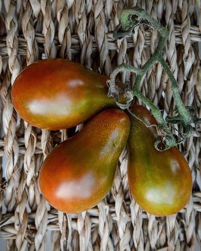 Chocolate Pear Heirloom Tomato Premium Seed Packet