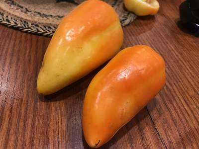 Alba Regia Pepper Premium Seed Packet + More