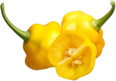 Trinidad Perfume Habanero Heirloom Pepper Premium Seed Packet + More