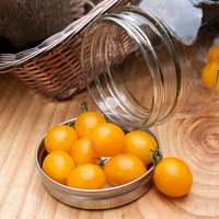 Yellow Blondkopfchen Current Sized Heirloom Tomato Premium Seed Packet - Thumbnail 1