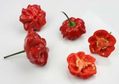 Aji Brazilian Starfish Hot Pepper Premium Seed Packet