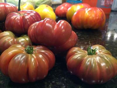 Tims Black Ruffles Heirloom Tomato Premium Seed Packet