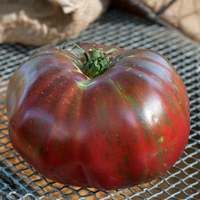 Pink Berkeley Tye Dye Heirloom Tomato Premium Seed Packet - Thumbnail 2