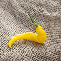Aji Yellow Pineapple Pepper Premium Seed Packet - Thumbnail 1