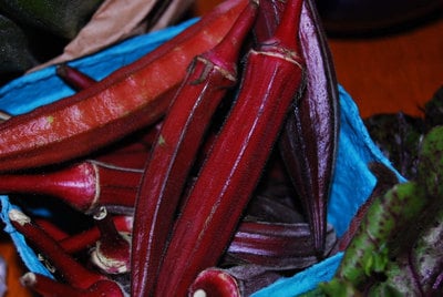 Red Burgundy Okra Gumbo Premium Seed Packet
