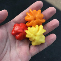 Aji Brazilian Starfish Orange Hot Pepper Premium Seed Packet + More - Thumbnail 1