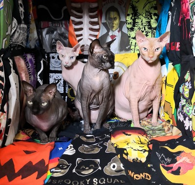 Halloween - Upcycled