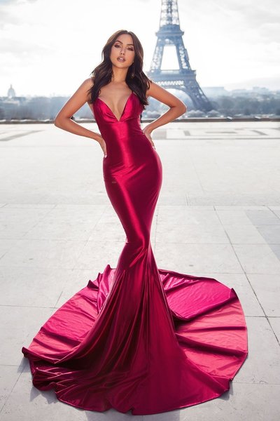 Mermaid Long Evening Dress with Lace-up Backless