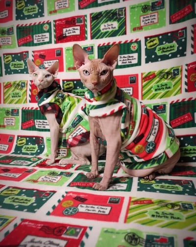 Dear Santa - Luxe Fleece