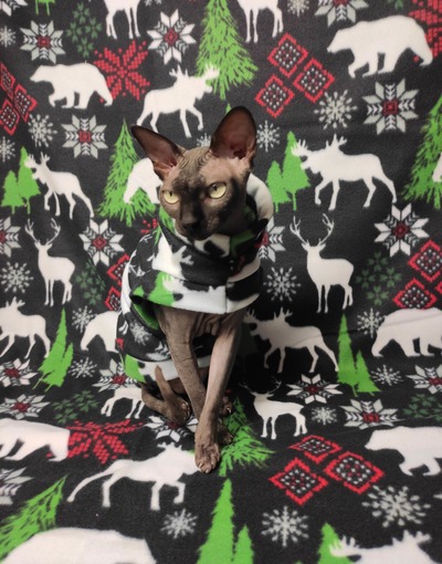 Christmas Cabin In The Woods