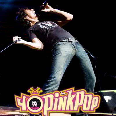 Chris cornell live at the pinkpop festival landgraaf, the netherlands 30.05.2009 dvd - Thumbnail 5