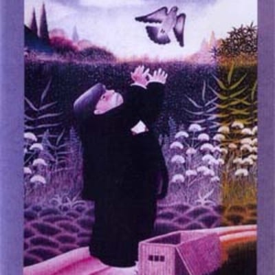 Allan holdsworth soft machine bundles in montreux '74 dvd - Thumbnail 3