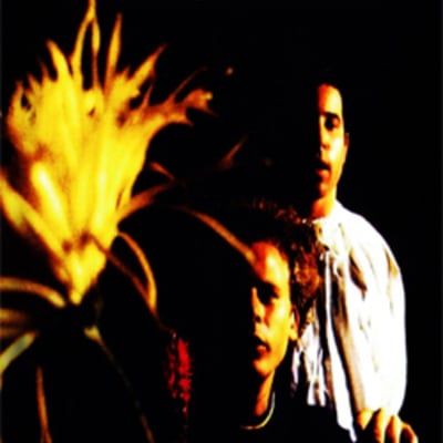 Simon & garfunkel fantastic early years 1966 - 1970 dvd - Thumbnail 1