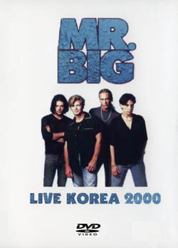 MR.BIG SEOUL,KOREA 1.20.2000 DVD