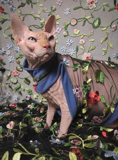 House of Swag - Periwinkle