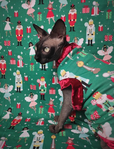 Inclusive Nutcracker