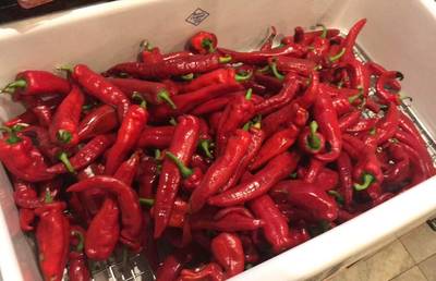 NuMex Las Cruces Cayenne Pepper Premium Seed Packet