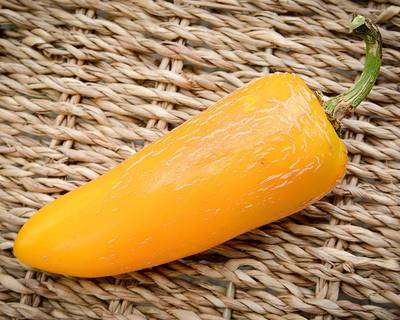 Giant Yellow Jalapeno Pepper Premium Seed Packet