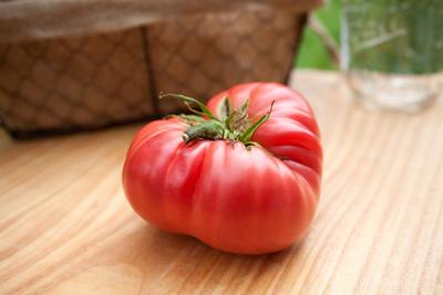 1884 Olde Timey Heirloom Tomato Premium Seed Packet