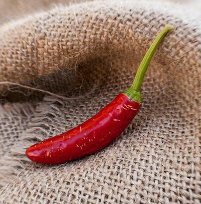 Serrano Heirloom Chili Pepper Premium Seed Packet