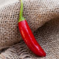 Serrano Heirloom Chili Pepper Premium Seed Packet - Thumbnail 1