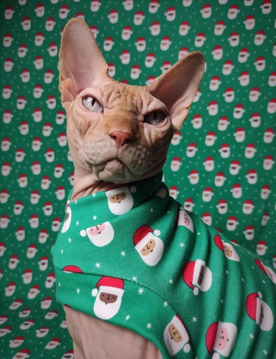 United Colors of Santa