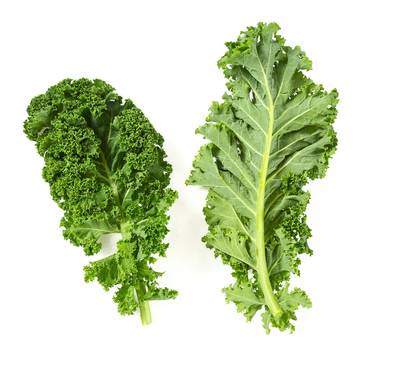 Dwarf Vates Curly Green Kale Curled Broccoli Premium Seed Packet
