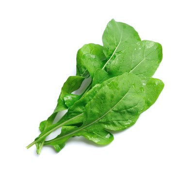 Arugula Slow Bolt Italian Rocket Roquette Heirloom Premium Seed Packet