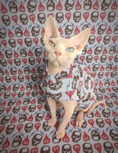 Hearts & Minds Thermal