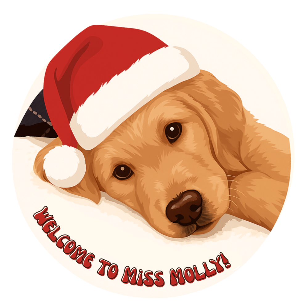 Miss Molly