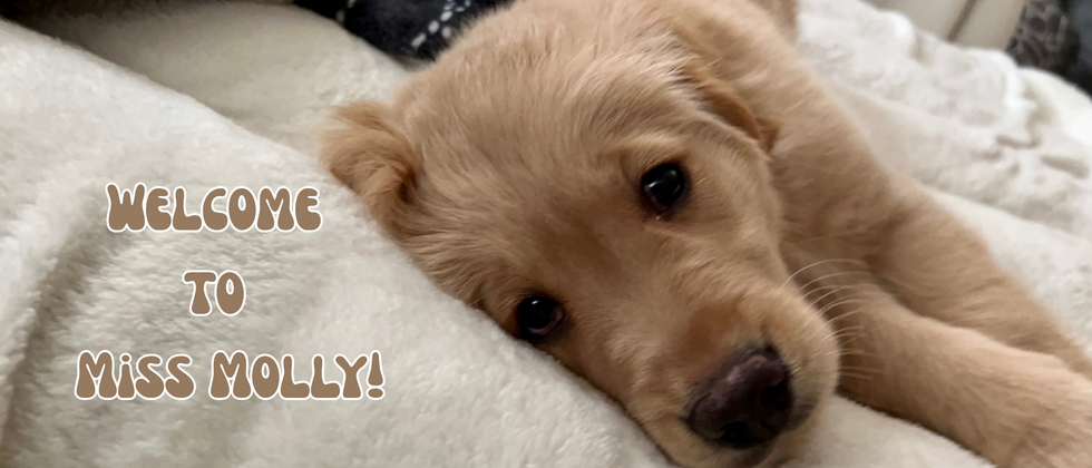 Miss Molly