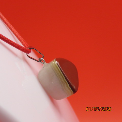 Img 2358