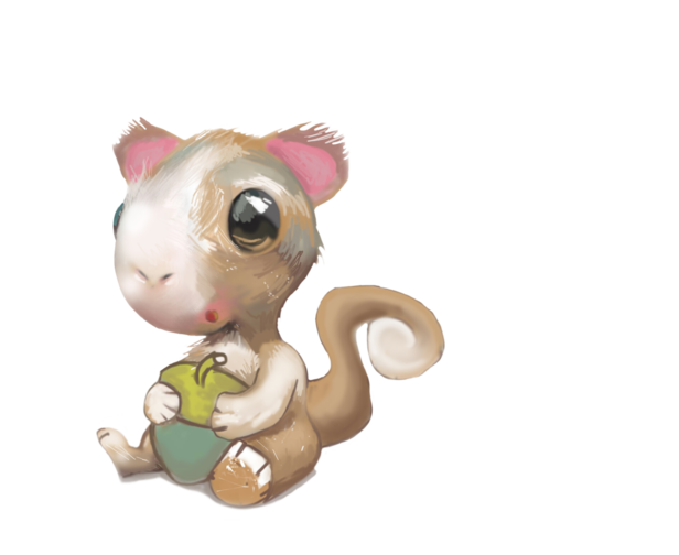 Kelly johnson johnsonkelly squirrel