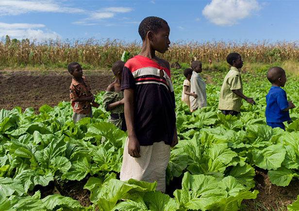 Storyphotos 616x px5