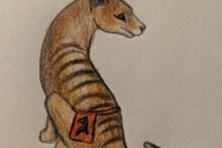 Marsupium Belt Pouches