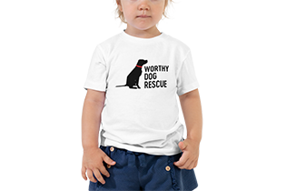 Kids' Tees