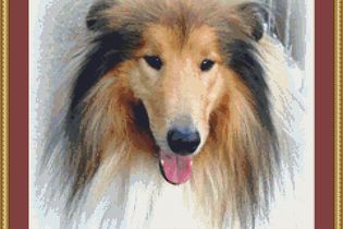 Animal Cross Stitch Patterns