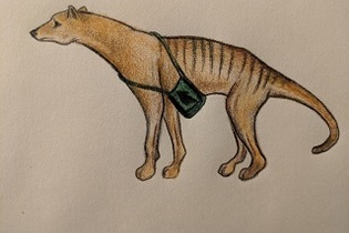 Marsupium Courier Bag / Satchel