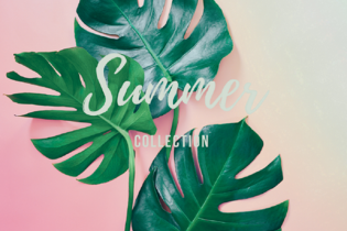 Summer Collection