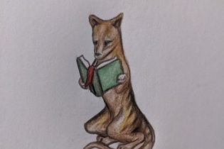 Thylacine Bookcovers/lanterns