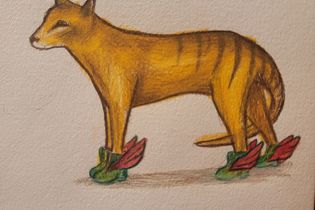 Thylacine Shoe Wings