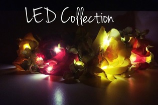 LED Collection