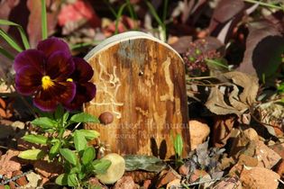 Magical Faerie Doors