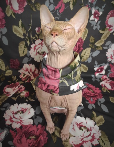 Stop & Smell The Roses